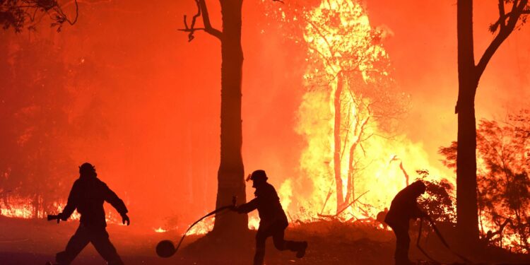 Rural Fire Service (RFS) volunteers and NSW Fire and Rescue officers fight a bushfire encroaching on properties near Termeil, Australia, December, 3, 2019. Picture taken December 3, 2019.  AAP Image/Dean Lewins/via REUTERS    ATTENTION EDITORS - THIS IMAGE WAS PROVIDED BY A THIRD PARTY. NO RESALES. NO ARCHIVE. AUSTRALIA OUT. NEW ZEALAND OUT.     TPX IMAGES OF THE DAY - RC2ZND9VS6E6