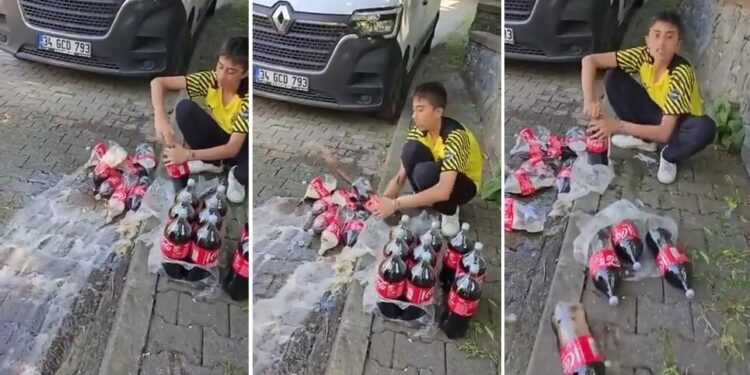 İsrail’in Gazze’yi hedef alan saldırılarının ardından TBMM’nin boykot etme kararı alığı Coca-Cola şirketine devlet teşvik verdi.